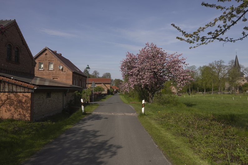 Ansicht auf Dorfstraße von Sauen