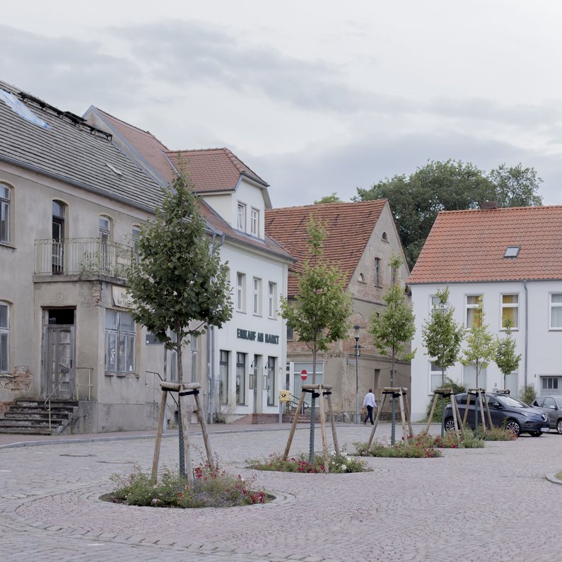 Häuser und Bäume auf dem Marktplatz von Penkun