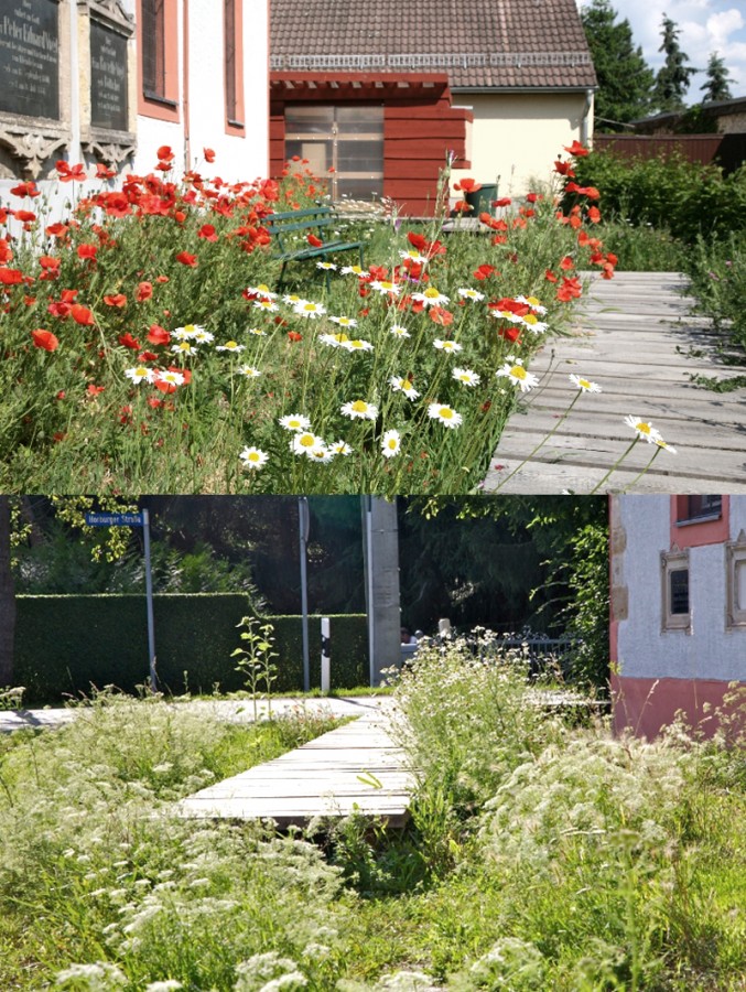 Ansicht auf den fertigen Holzsteg von Atelier le balto „Lustgang“ zwischen grünen Gräsern und Häusern in Kleinliebenau 